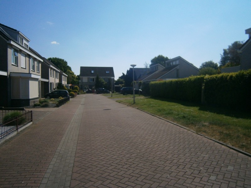 Theo van Doesburgstraat vanaf Piet Mondriaanstraat.JPG