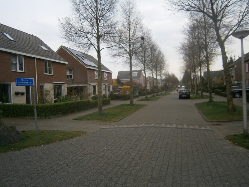 Therese Schwartzelaan hoek Theo van Doesburgstraat.JPG