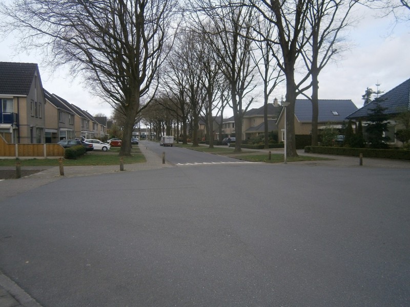 Thomas de Keyserstraat hoek Marie de Roodelaan.JPG