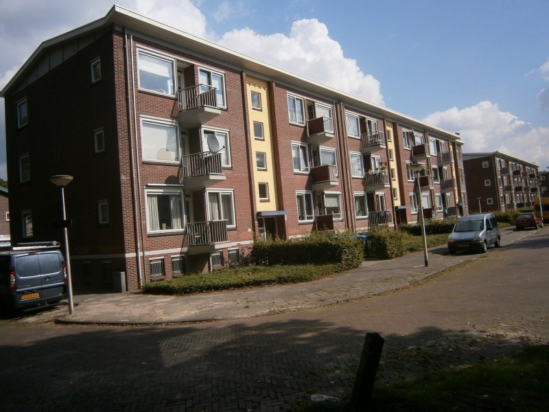 Paulus Potterstraat vanaf Adriaen van Ostadestraat 3-8-2015.JPG