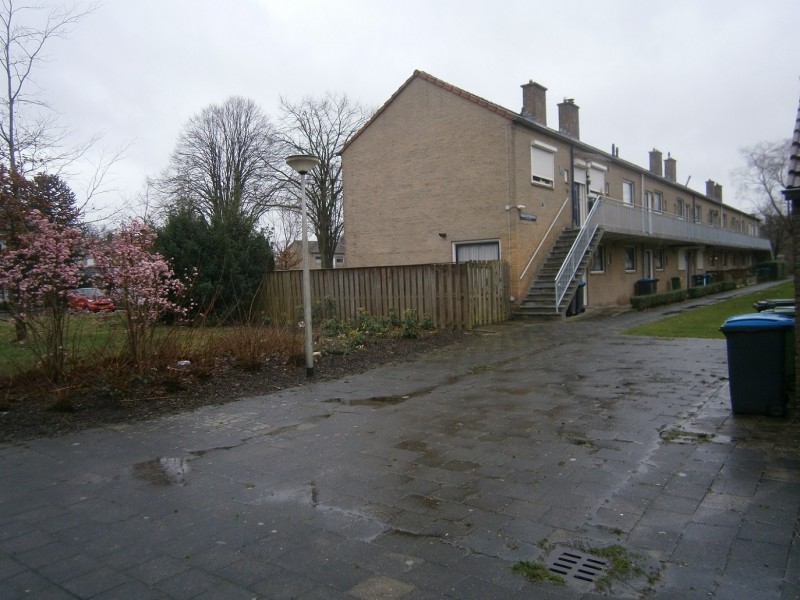 Paulus Potterstraat achtergrond Frans Halsstraat 2-3-2017 .JPG