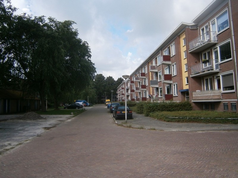 Paulus Potterstraat richting Adriaen van Ostadestraat 3-8-2015.JPG
