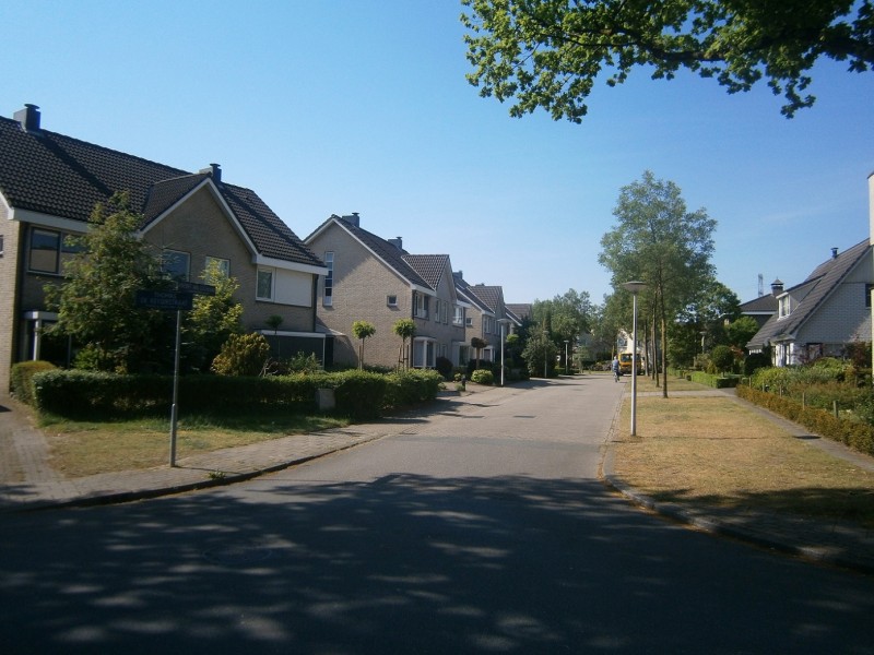 Vincent van Goghlaan vanaf Thomas de Keyserstraat.JPG