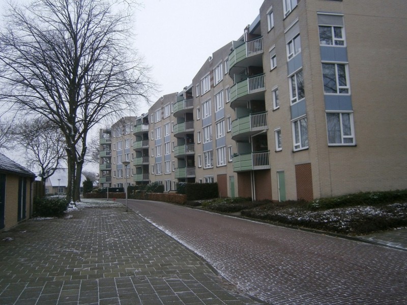 Gerard Doustraat 10-2-2017.JPG