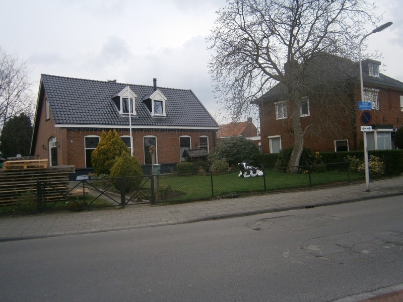 Wicher Nijkampstraat.JPG