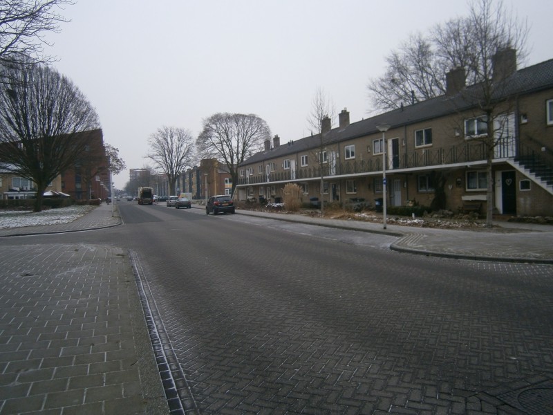 S.L Louwesstraat 10-2-2017.JPG