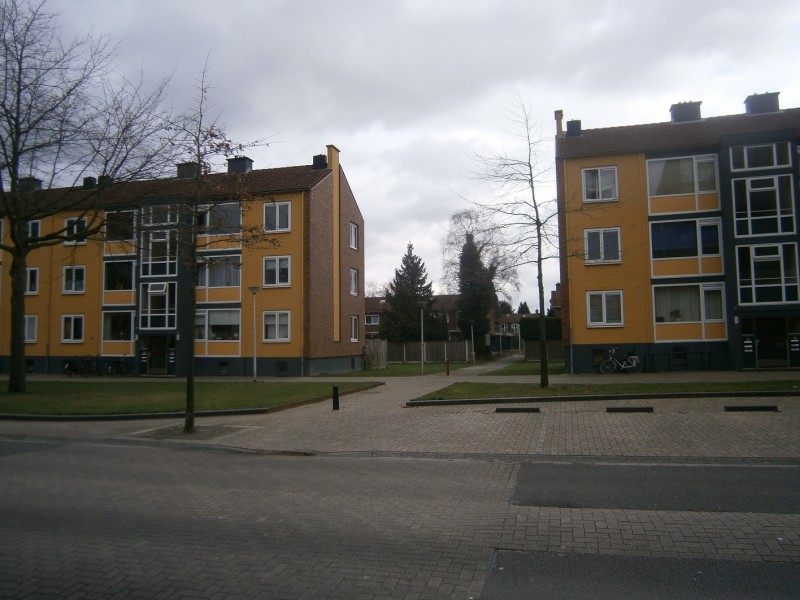 Tuinbouwstraat vanf de S.L. Louwesstraat.JPG