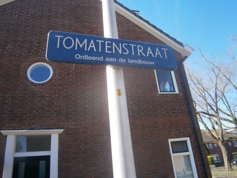 Tomatenstraat straatnaambord (2).JPG