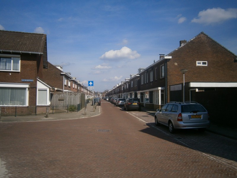 Esdoornstraat hoek B.W. ter Kuilestraat.JPG
