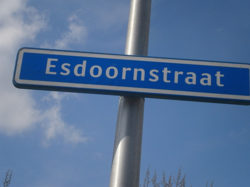 Esdoornstraat straatnaambord.JPG