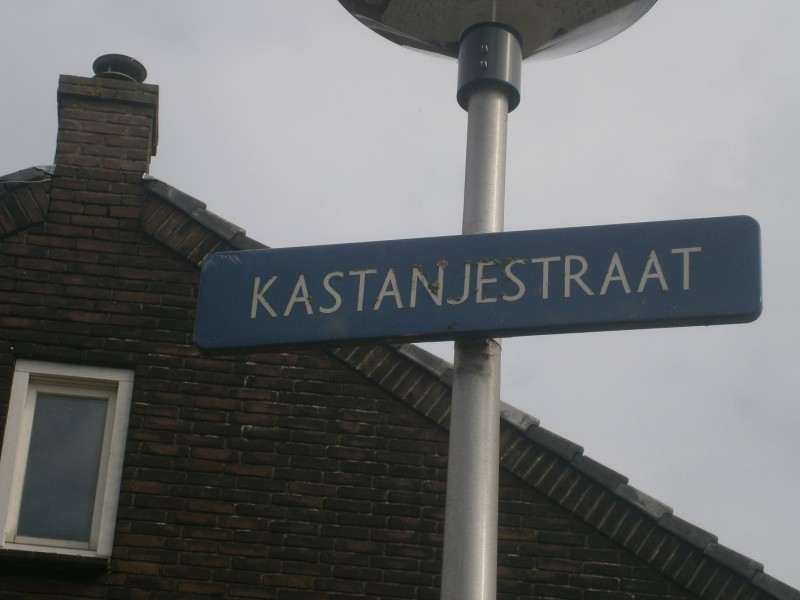 Kastanjestraat straatnaambord.JPG