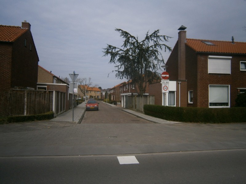 Plataanstraat hoek Elferinksweg.JPG