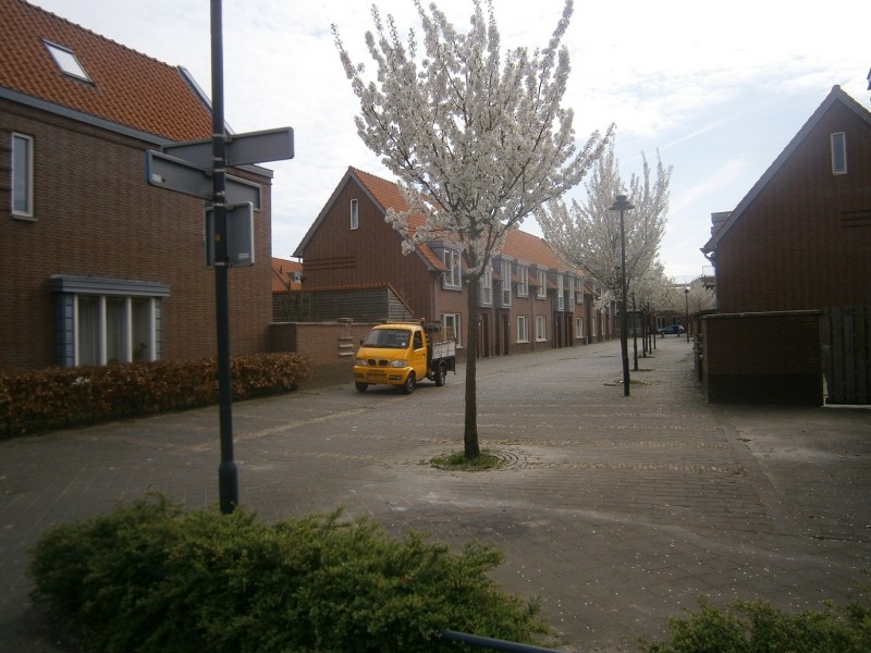 Van Coeverdenstraat vanaf Vorstmanplantsoen.JPG