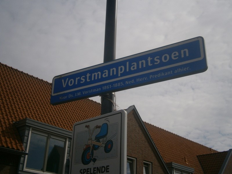 Vorstmanplantsoen straatnaambord (2).JPG