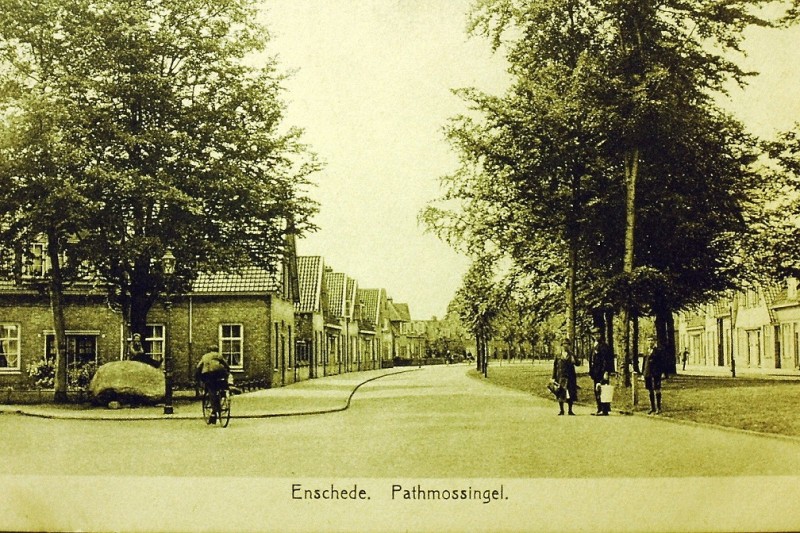 Pathmossingel met dikke steen.JPG