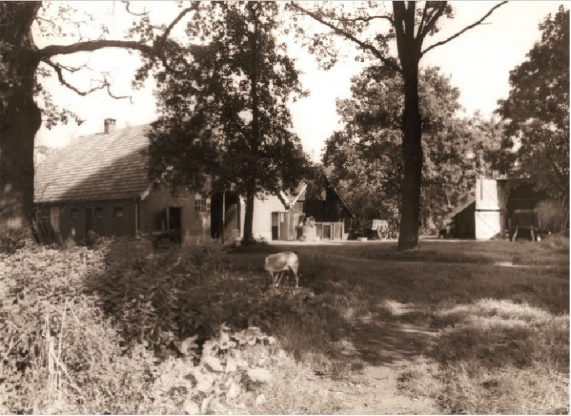 Horstlindeweg Bolhaar in 1959. Boerderij Witbreuk. Ouderlijk huis van Gebr, Witbreuk Aannemersbedrijf.jpg