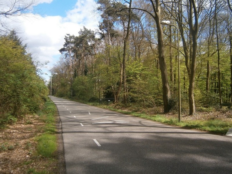 Horstlindelaan ter hoogte van Universiteit Twente.JPG