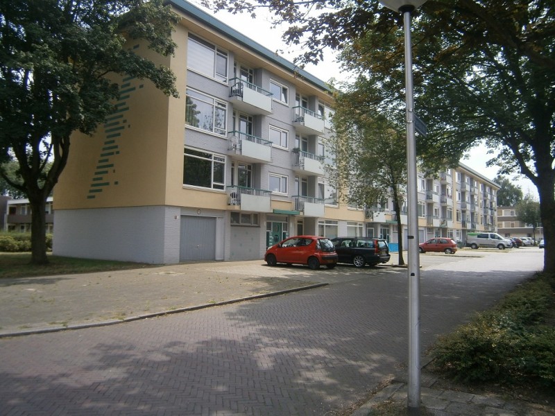 Ypelobrink.JPG