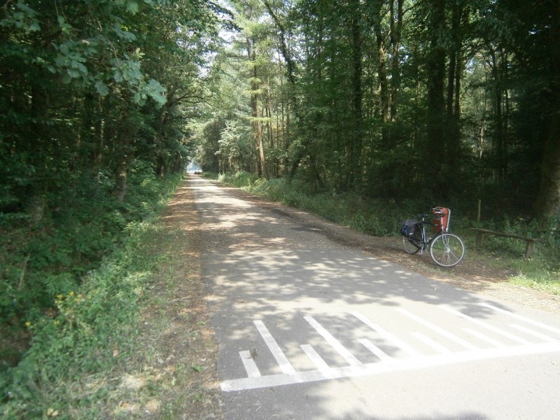 Groenelaan.JPG