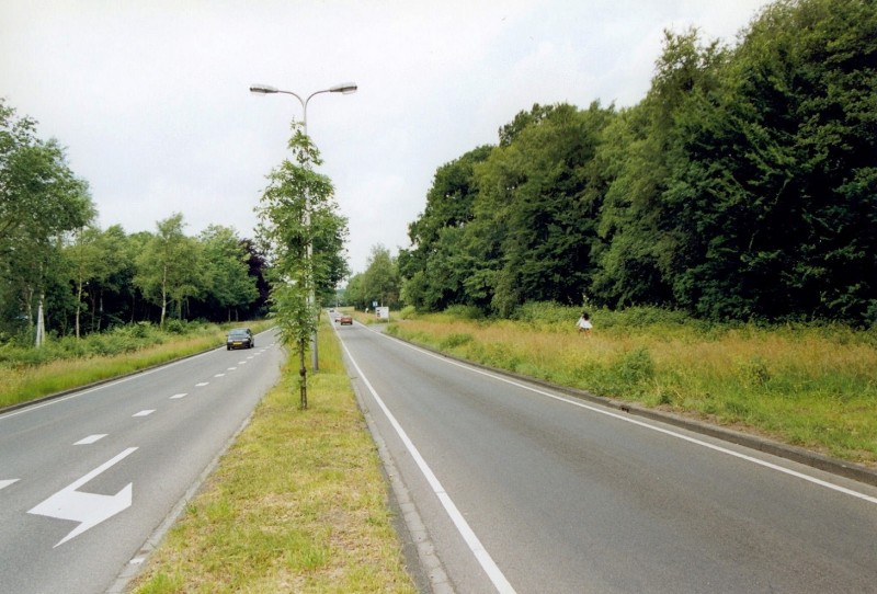 Broekheurne-Ring in de richting van de Geessinkweg.jpg