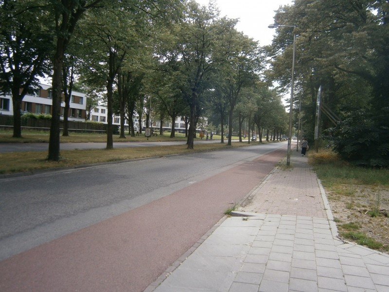 Wesselerbrinklaan (2).JPG