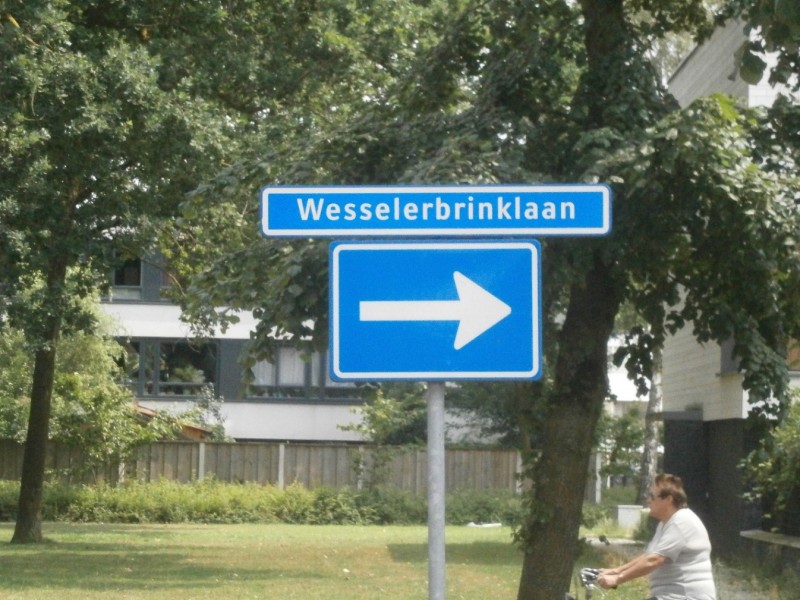 Wesselerbrinklaan straatnaambord.JPG