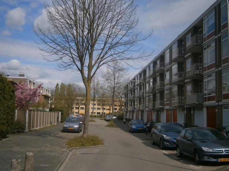 Gelderlandstraat.JPG