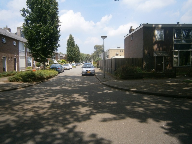 Wieringermeerstraat (2).JPG