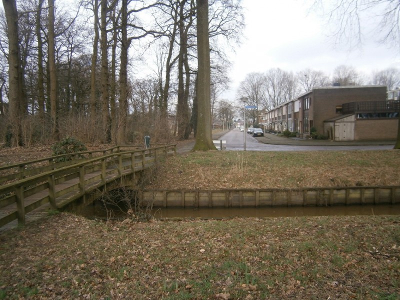 Nederlandlaan hoek Luxemburglaan gezien vanuit Zweringbeekpark.JPG