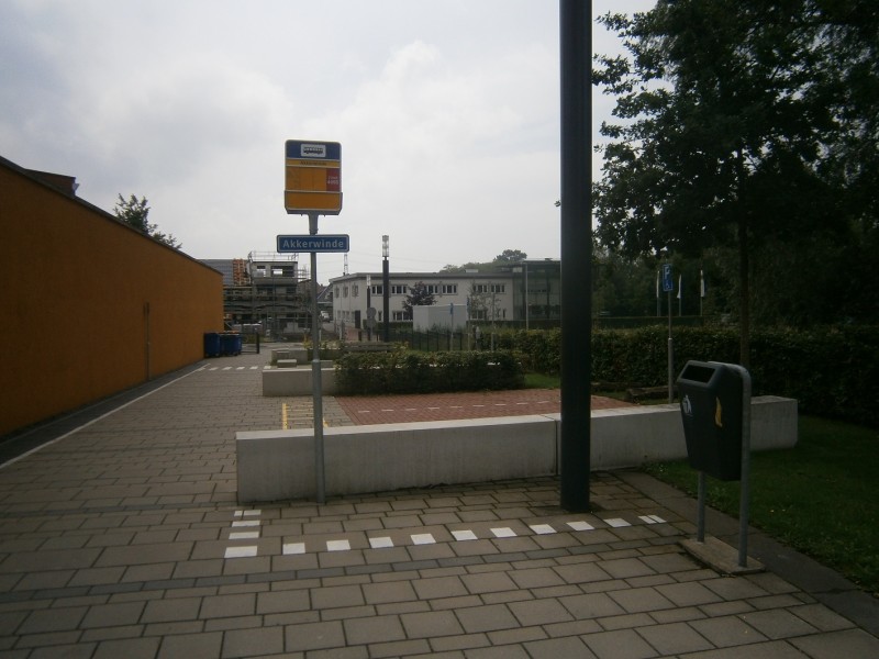 Akkerwinde bij ROC gebouw aan de Wethouder Beversstraat..JPG