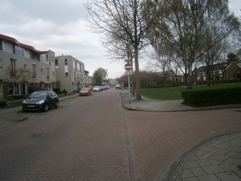 Helenastraat hoek Theresastraat.JPG