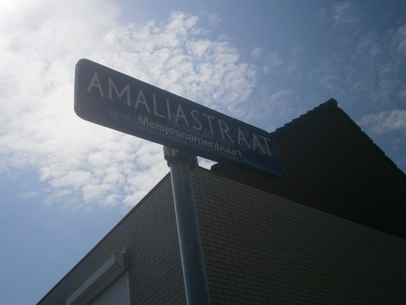 Amaliastraat straatnaambord.JPG