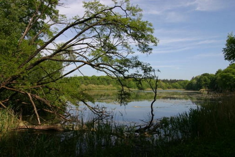 view_large.jpg