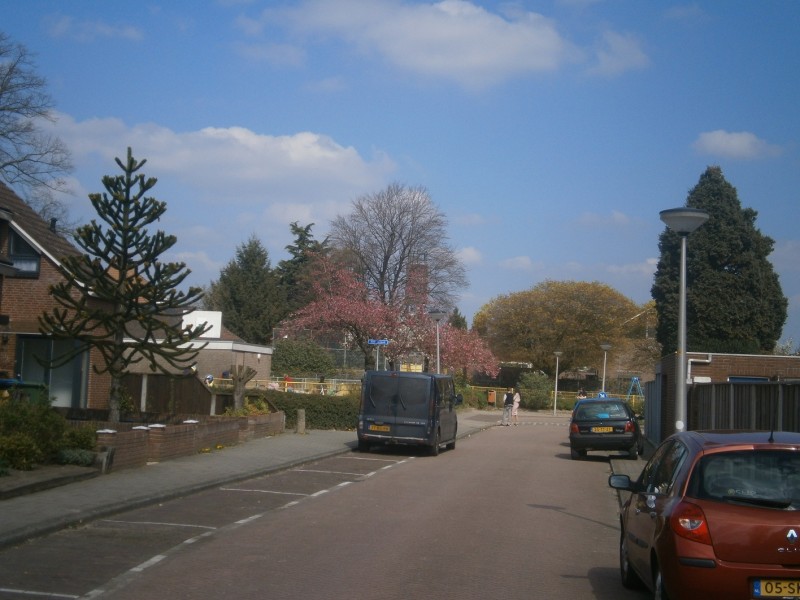 Sint Janstraat.JPG