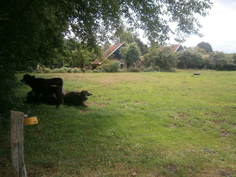 Viermarkenweg boerderij.JPG