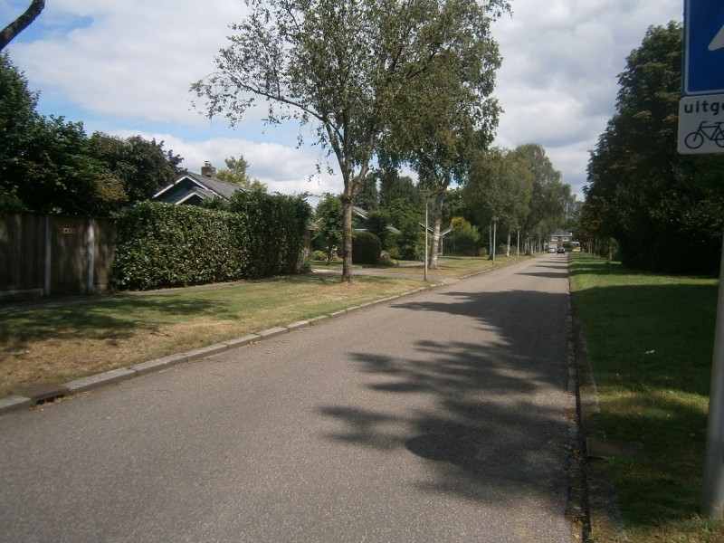 Bachlaan richting Deurningerstraat.JPG