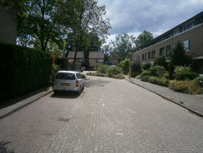 Chopinplein.JPG