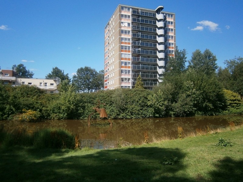 Belgielaan vijver met zicht op torenflat hoek Europalaan.JPG