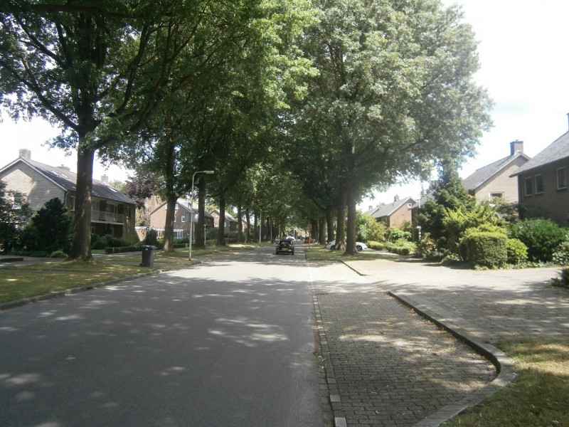 Beethovenlaan.JPG