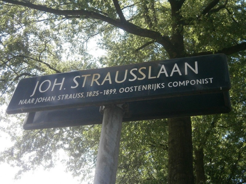 Joh. Strausslaan straatnaambord (2).JPG