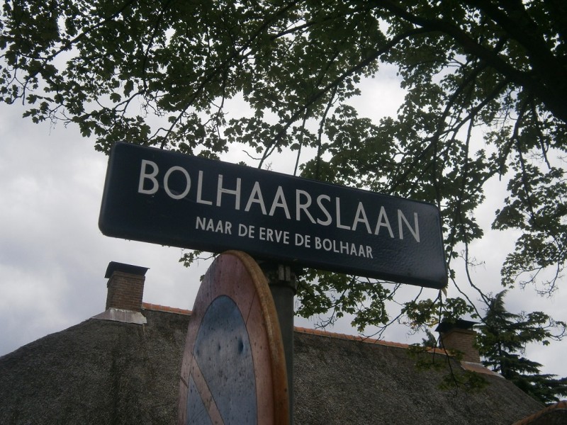 Bolhaarslaan straatnaambord.JPG