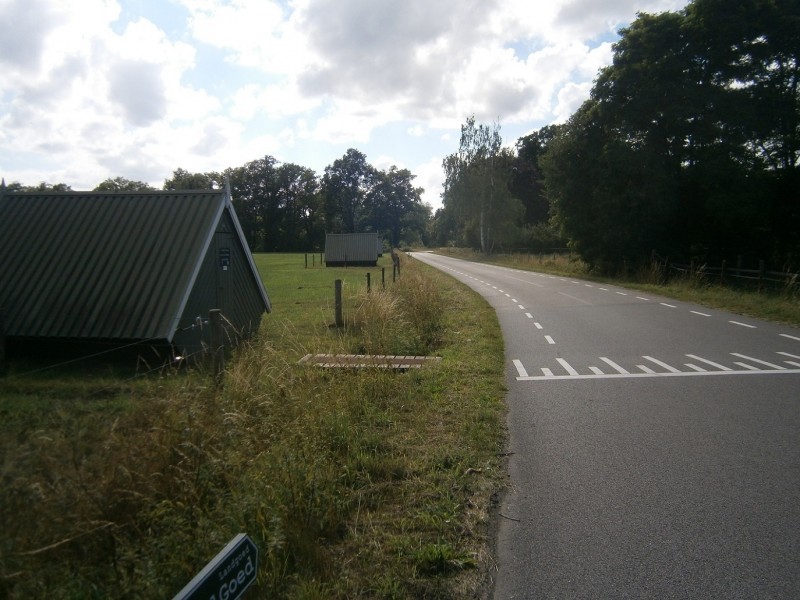 Burgemeester Stroinkstraat.JPG