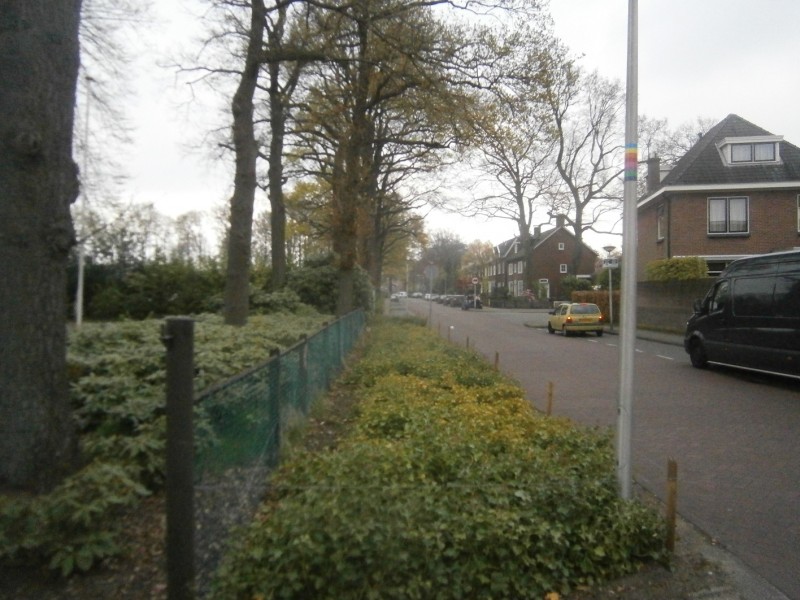 Goolkatenweg richting Hengelosestraat.JPG