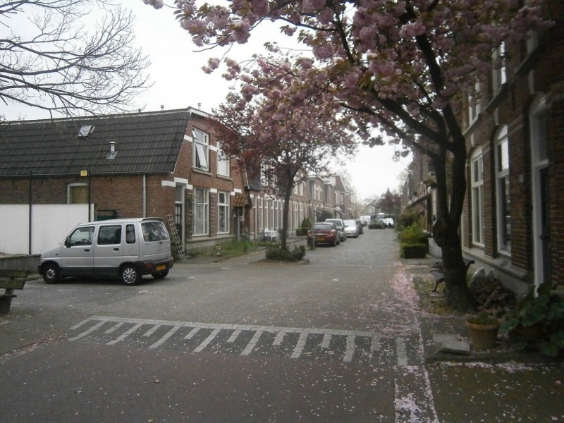 Grevestraat vanaf Tubantiastraat.JPG