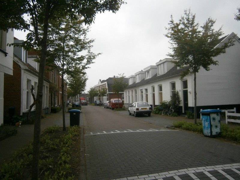 Tubantiastraat richting Goolkatenweg.JPG