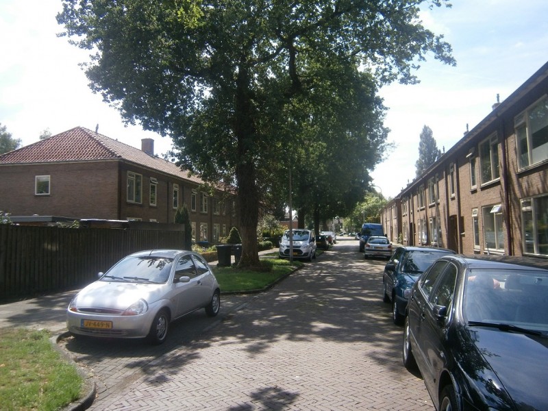 Van Limborchstraat.JPG