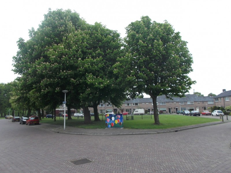 Toekomststraat hoek Willem Rijbbertstraat.JPG