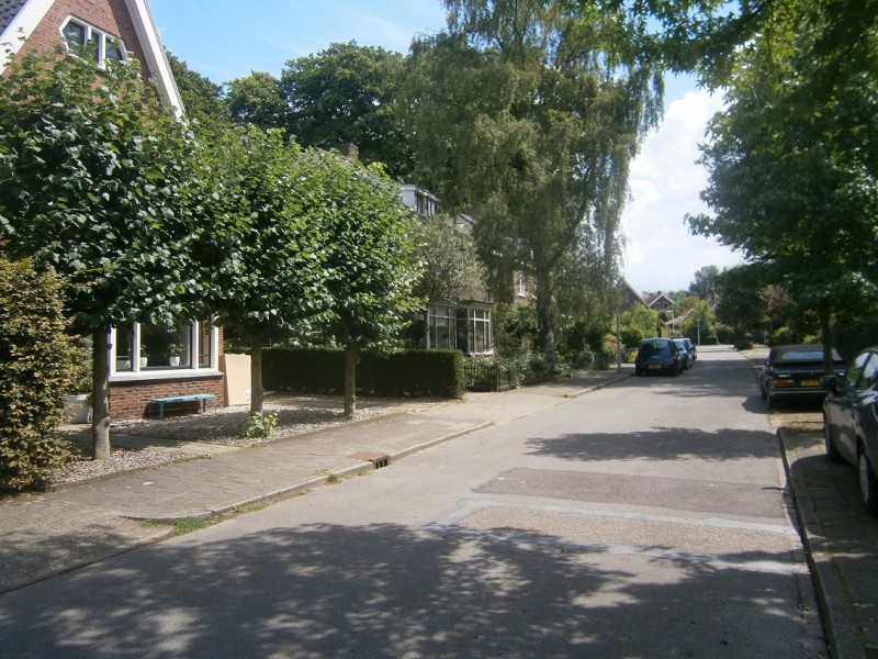 van Kolstraat vanaf Doctor Schaepmanlaan.JPG