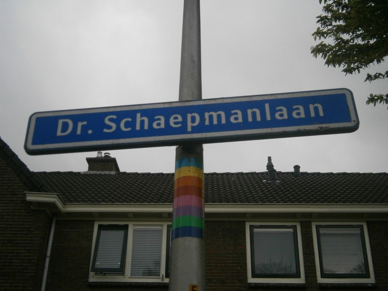 Dr. Schaepmanlaan straatnaambord.JPG