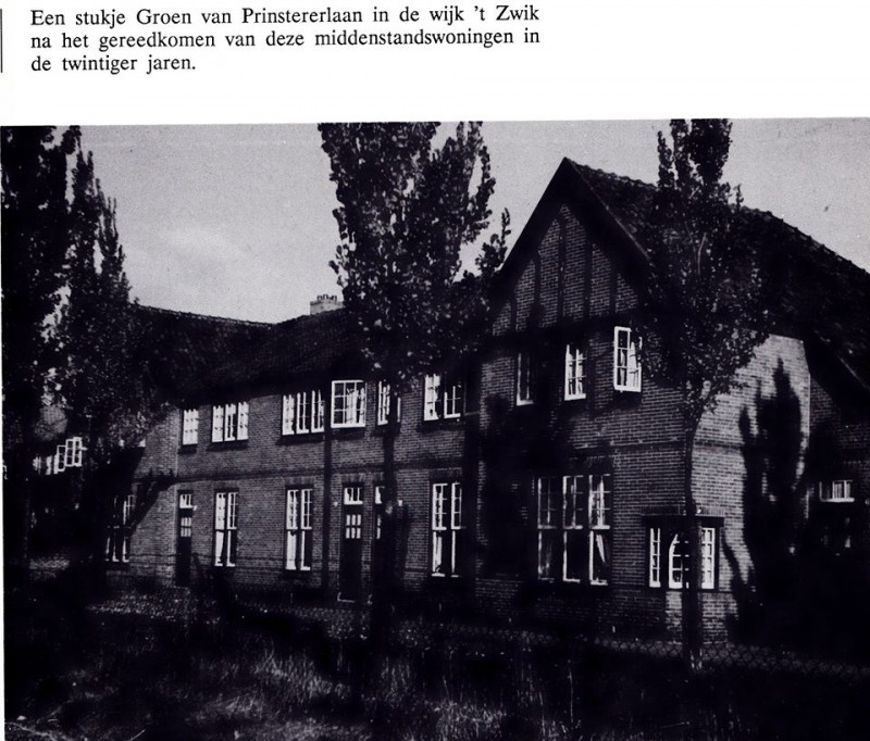 Groen van Prinstererlaan in de wijk 't Zwik.jpg